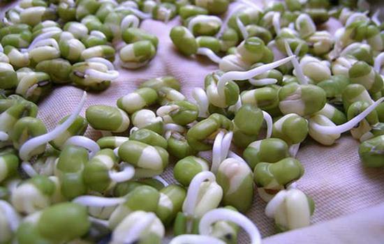 Bột mầm đậu xanh – Thực phẩm giàu Kẽm hữu cơ dinh dưỡng cho trẻ nhỏ